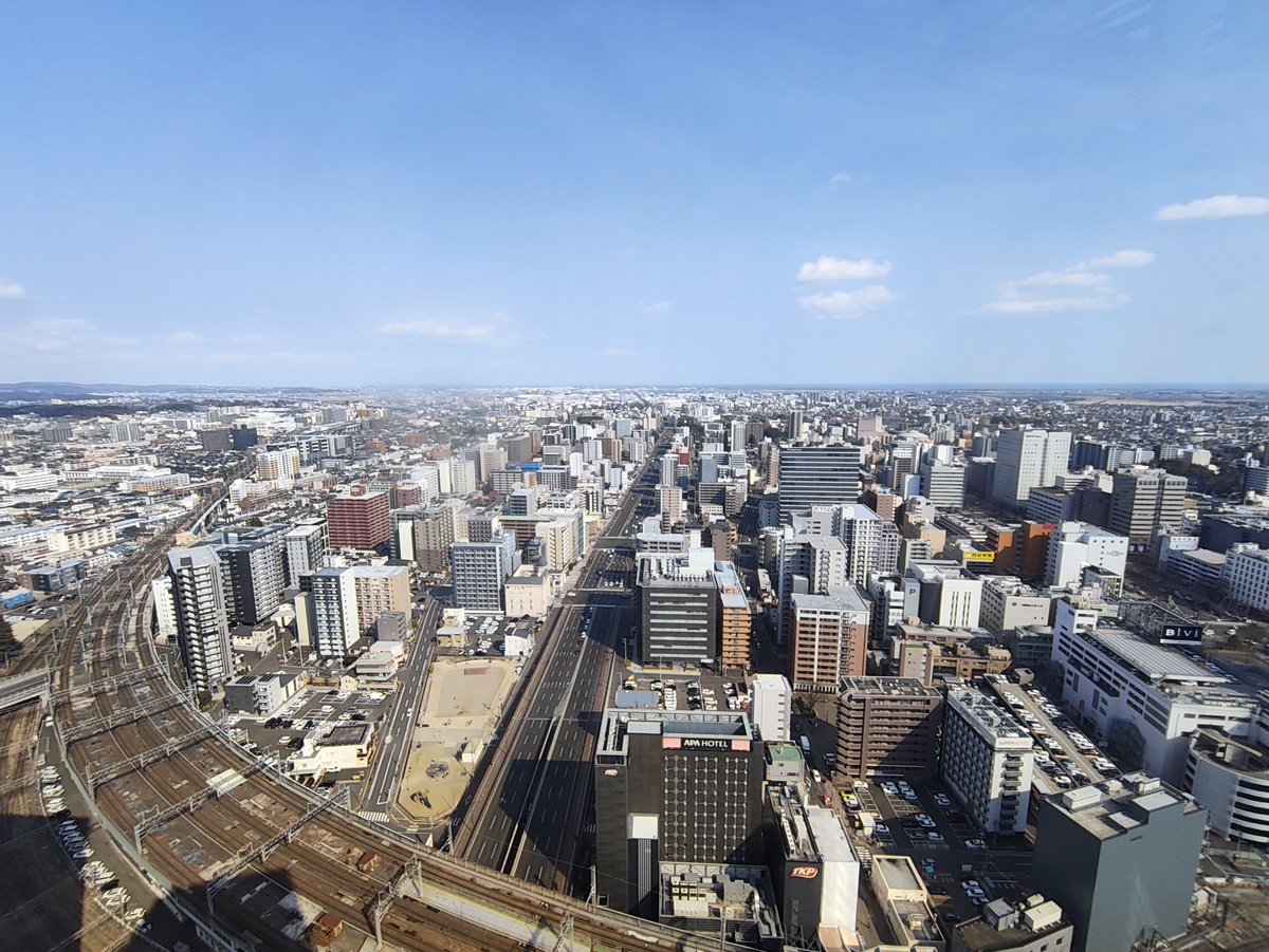 いぬのひと tweet media