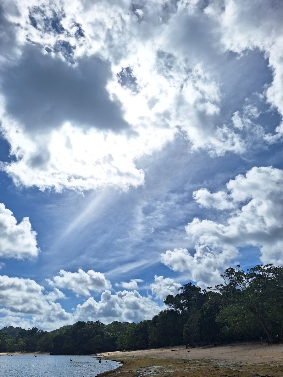 ️️️️️ ️️️️️️ tweet media