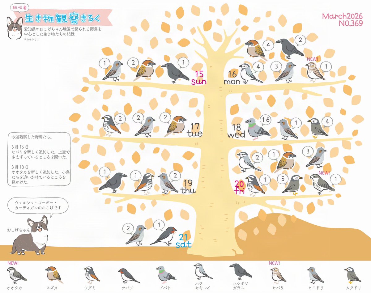 サカモトリエ/イラストレーター tweet media