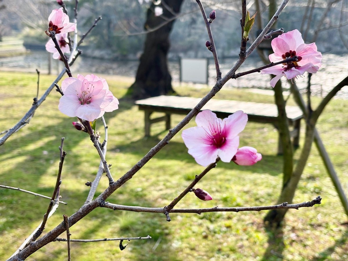 長居植物園 tweet media