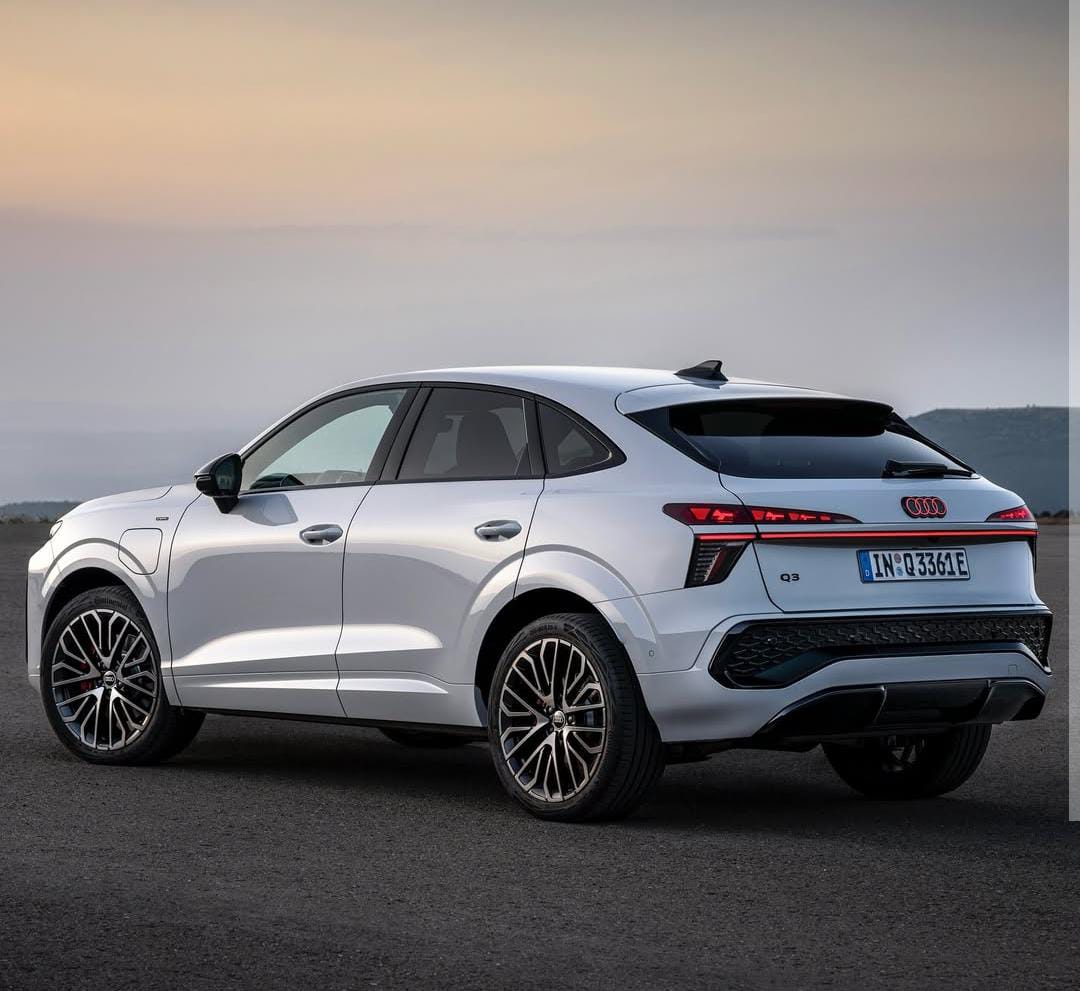 👑 Lady Ginger 👑 tweet media