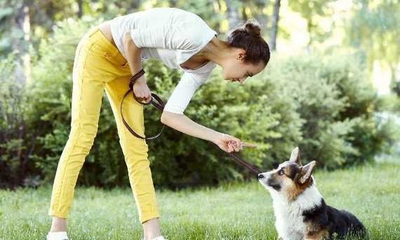 Tomasz Lipiński tweet media