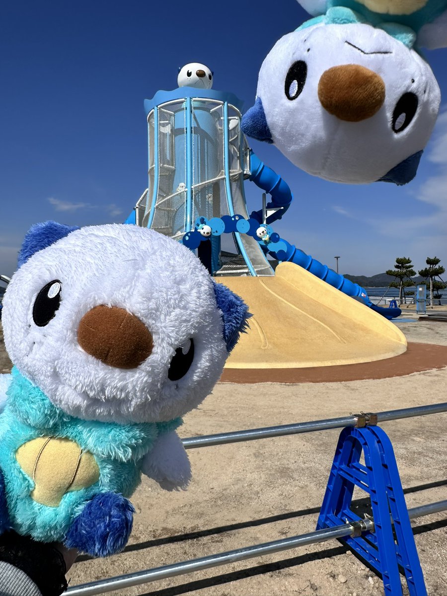 おねぎ。 tweet media