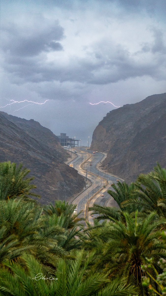 يوسف حوكاش tweet media