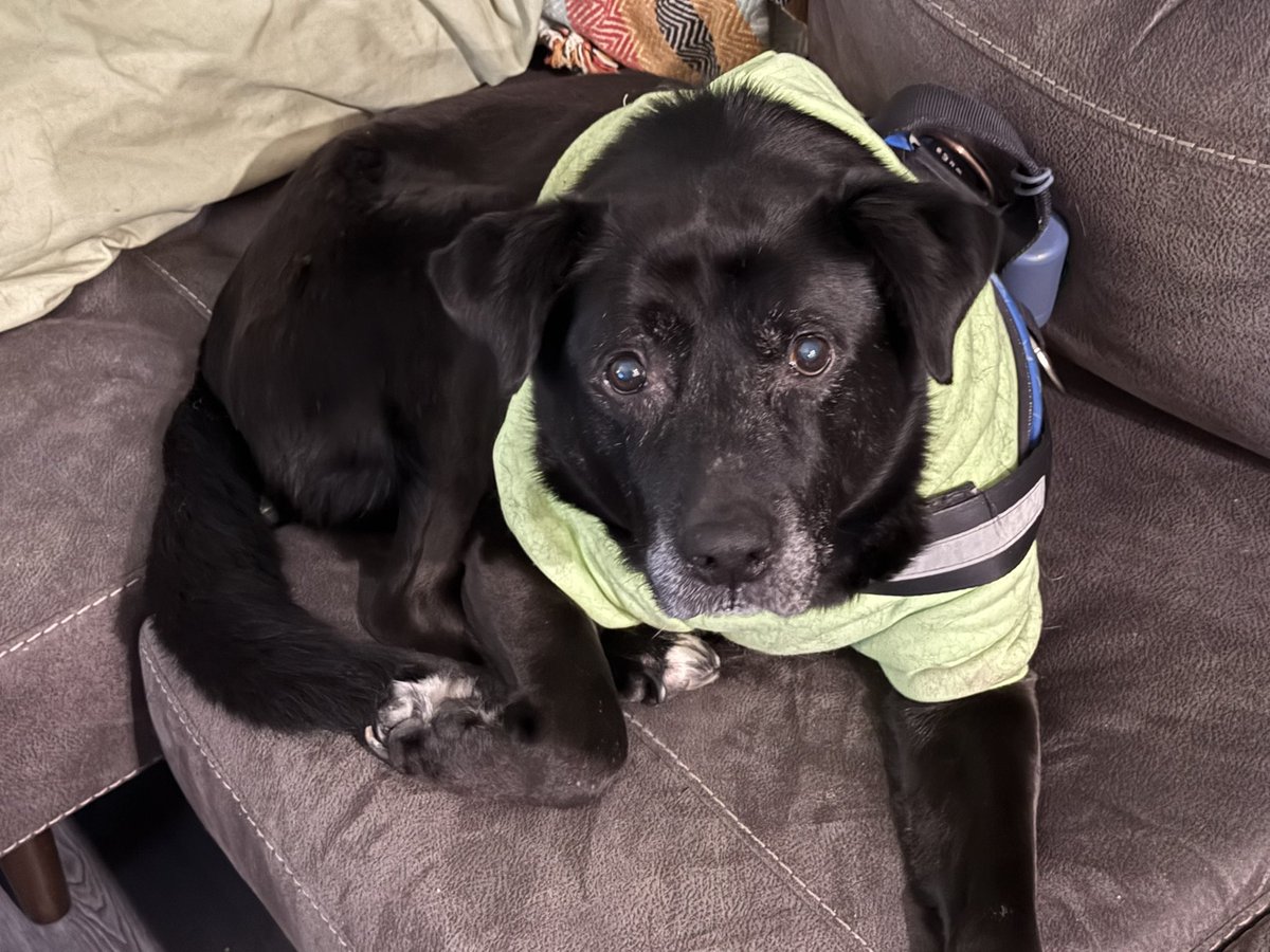 Astonishing Communists! tweet media