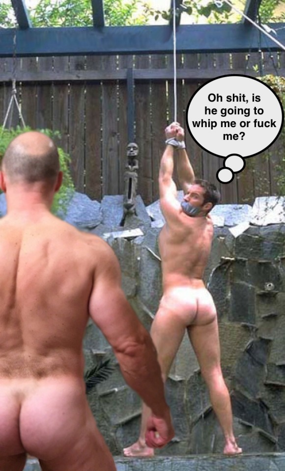 Harrison tweet media