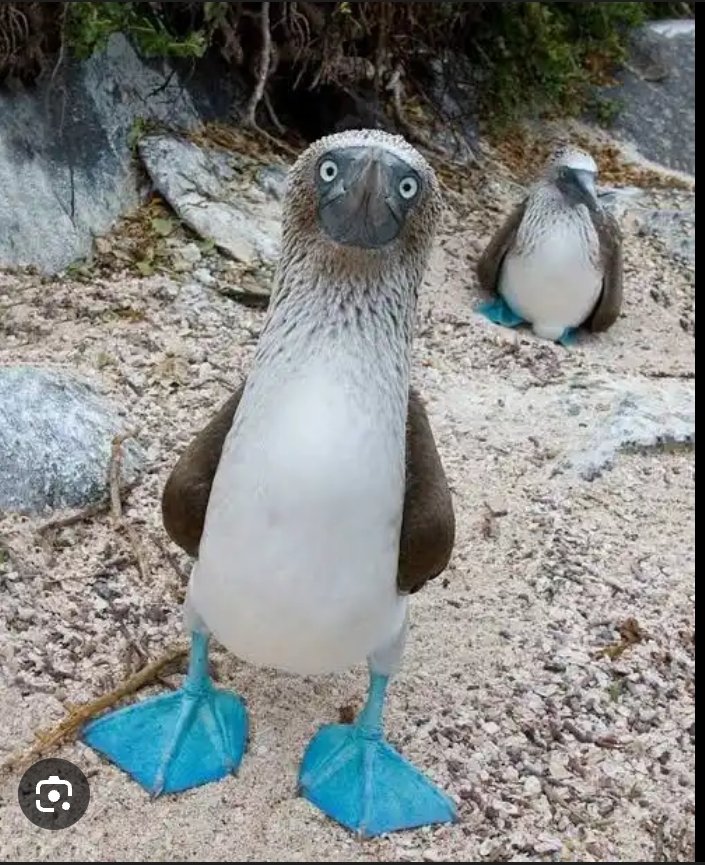 BassedTaz tweet media