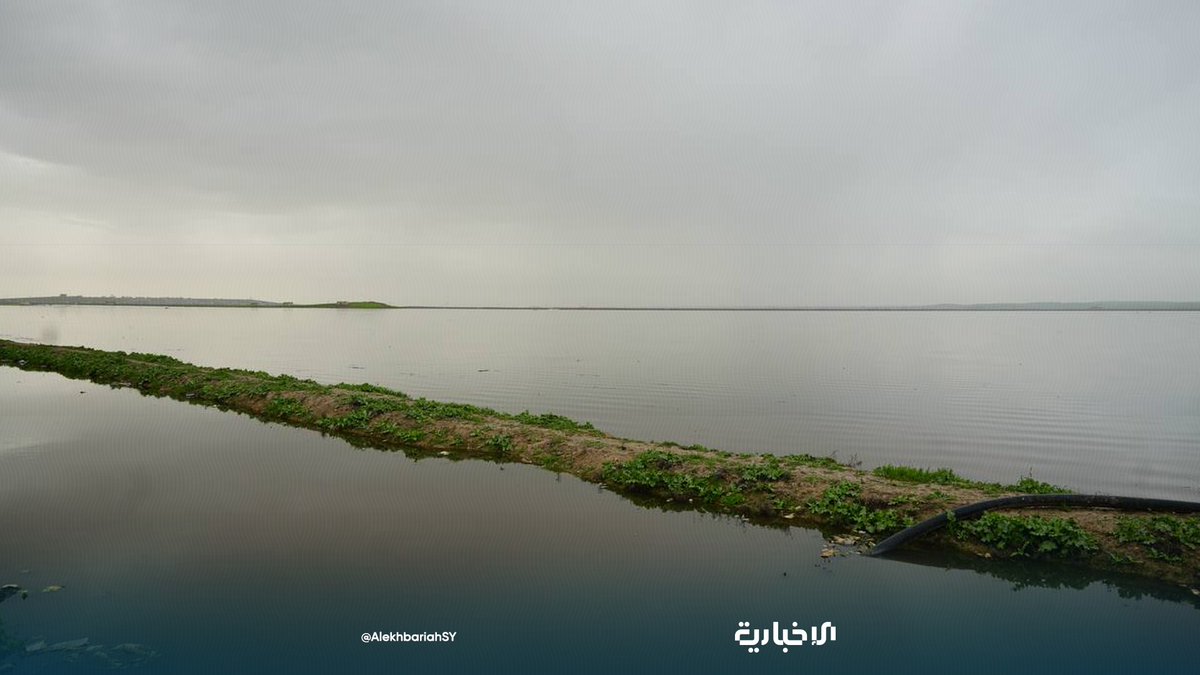QalaatAlMudiq's tweet image. #Syria: the first official estimate puts at ~600 hectares the agricultural land submerged in S. #Aleppo &amp;amp; E. #Idlib countryside, following the collapse of Siyaha Dam 2 days ago.

A committee was formed to assess damage and crop losses, mainly wheat, lentils and beans.