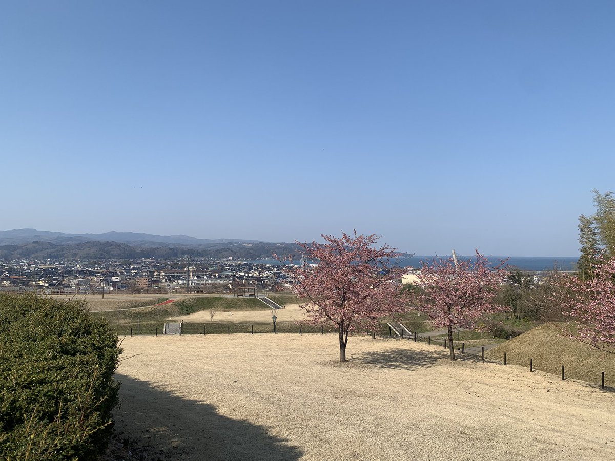 田村こさち tweet media