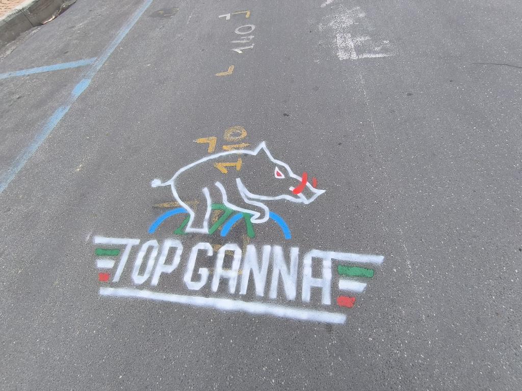 Toni Gruden tweet media