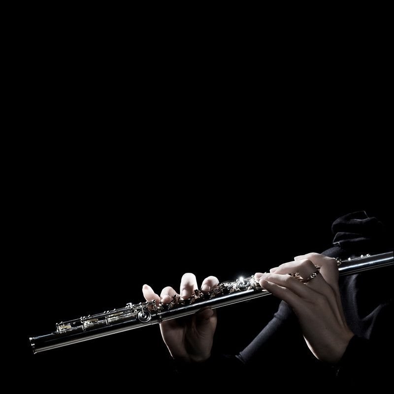 teds_list's tweet photo. The Flute is a fun instrument to play. See some world-class tutorials here  at Ted's List! #flutelessons #flutelove https://t.co/5zTZopWYoR https://t.co/yqj6cQuMy7