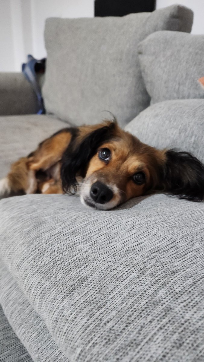 carito🇦🇷⭐⭐⭐ tweet media