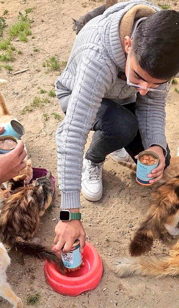 help cats tweet media