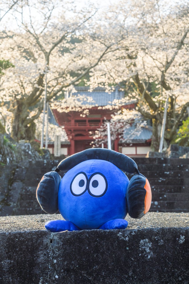 hmbrcamera's tweet photo. .......

#ぶれまる
#ぶれまるカメラ部 https://t.co/NRAoVMEFOm