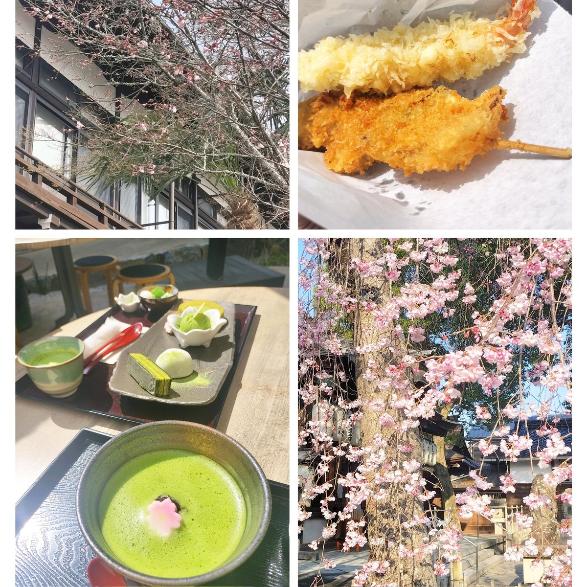 せっちゃん🍤 tweet media