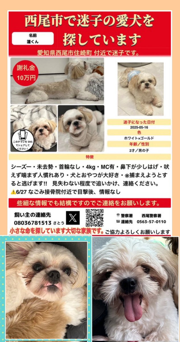 えびターボ86 tweet media