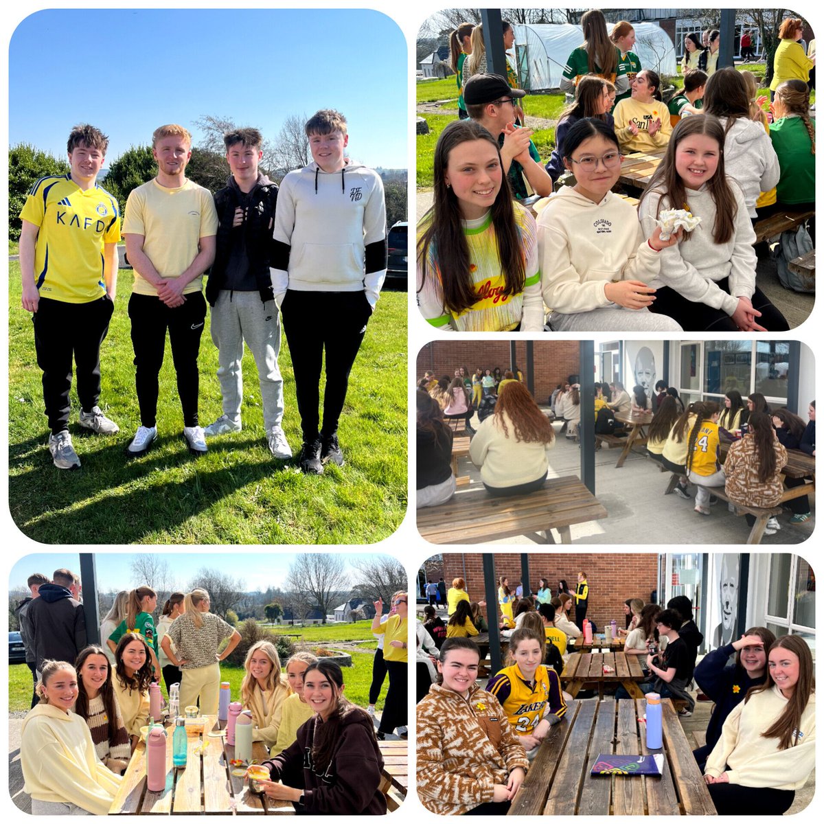 Tarbert Comp Sch tweet media