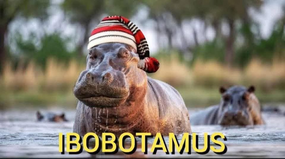 Samuel Adesola tweet media