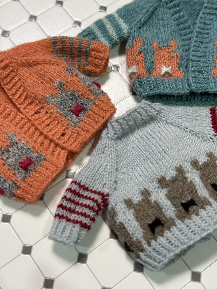 picot bear🐻‍❄️ tweet media