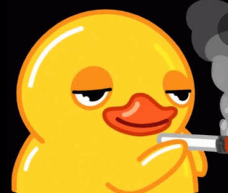 Dream Wrestling tweet media