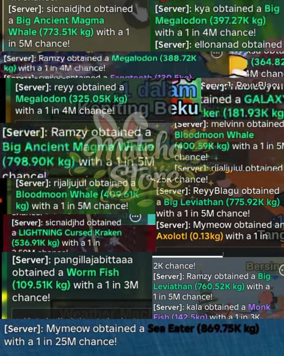 🐈‍⬛🐈, fastresp wa di bio ia tweet media