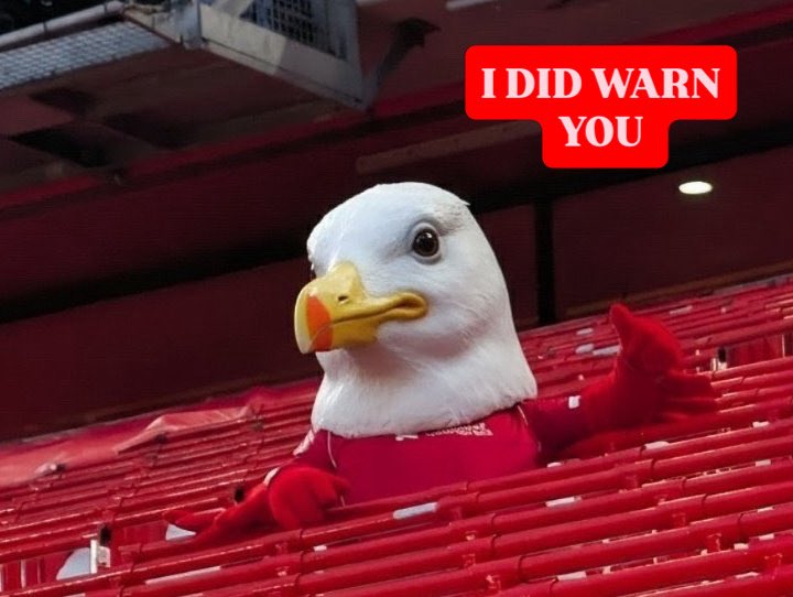 Mighty Red tweet media