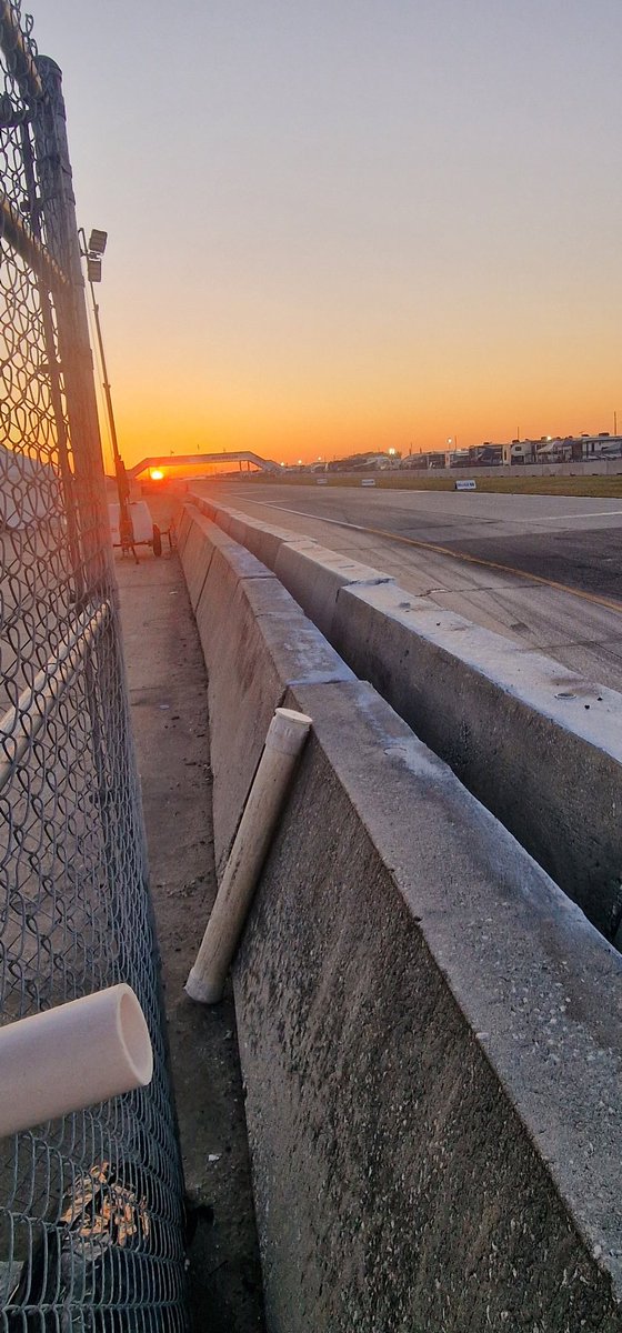 deadsquirrel tweet media