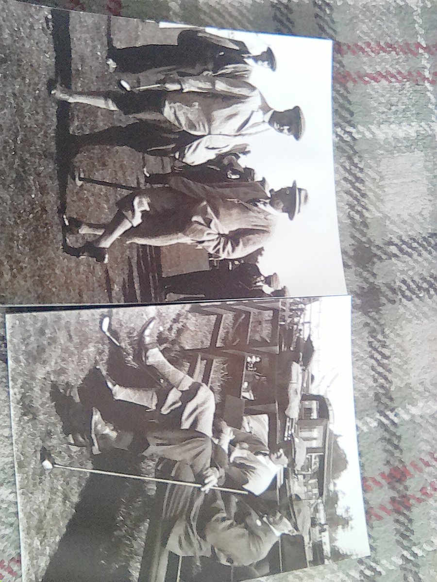 Adrian Leman tweet media