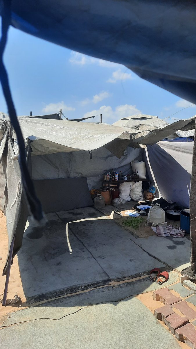 mohammed alothmani in gaza tweet media