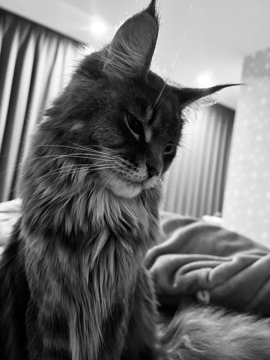 Side-B Collection tweet media