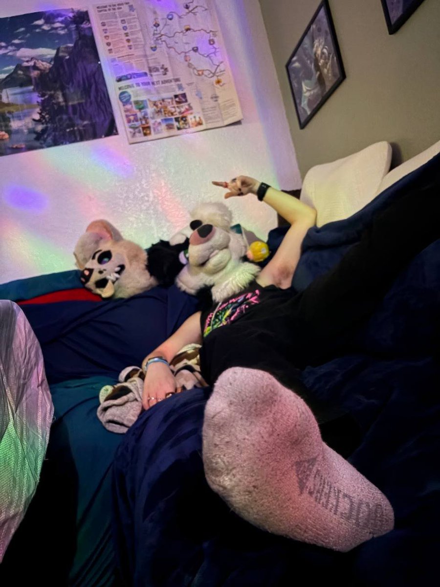 ❄️Wreniall❄️ΘΔ 🔜 LVFC tweet media