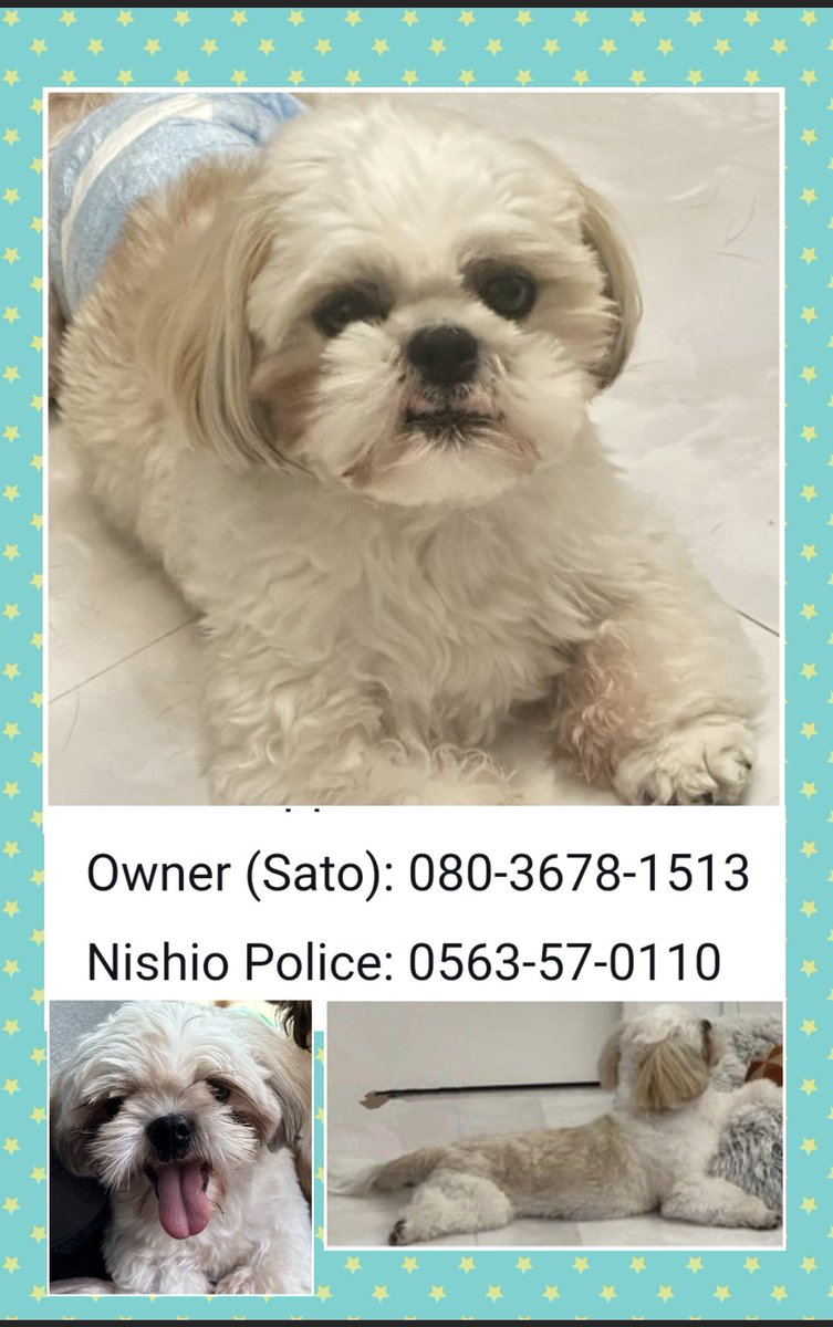 えびターボ86 tweet media