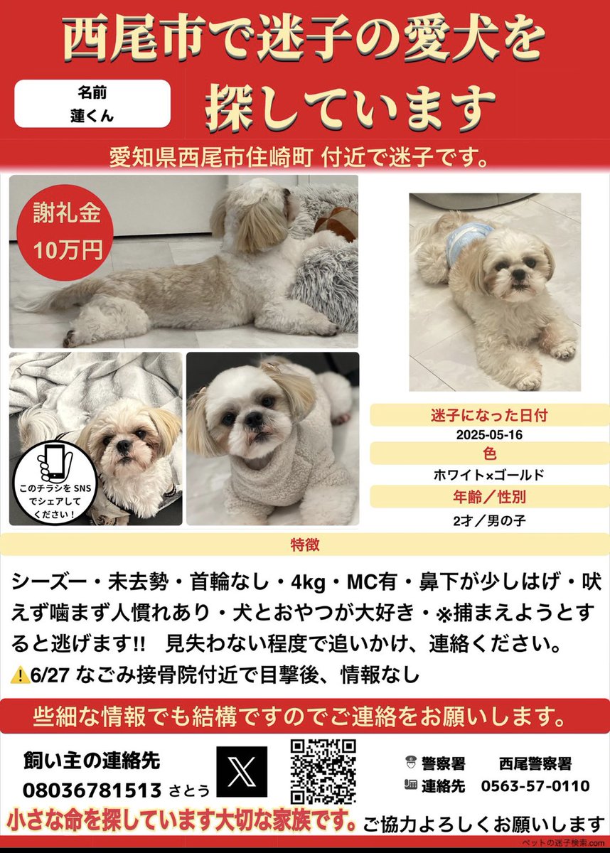 えびターボ86 tweet media