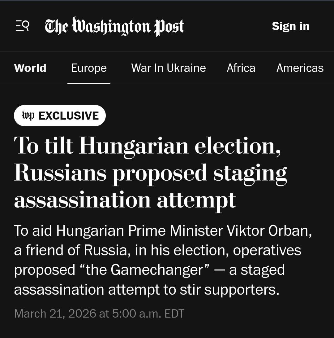 Oksii ✚ 🇺🇦 tweet media