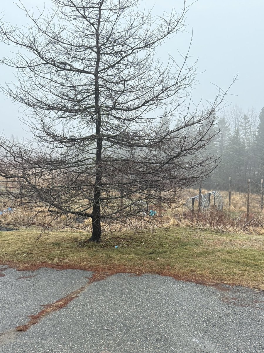 Mispec Mama tweet media