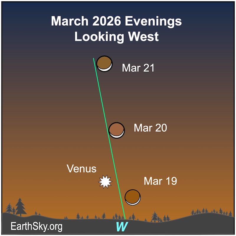Sander Tienstra tweet media