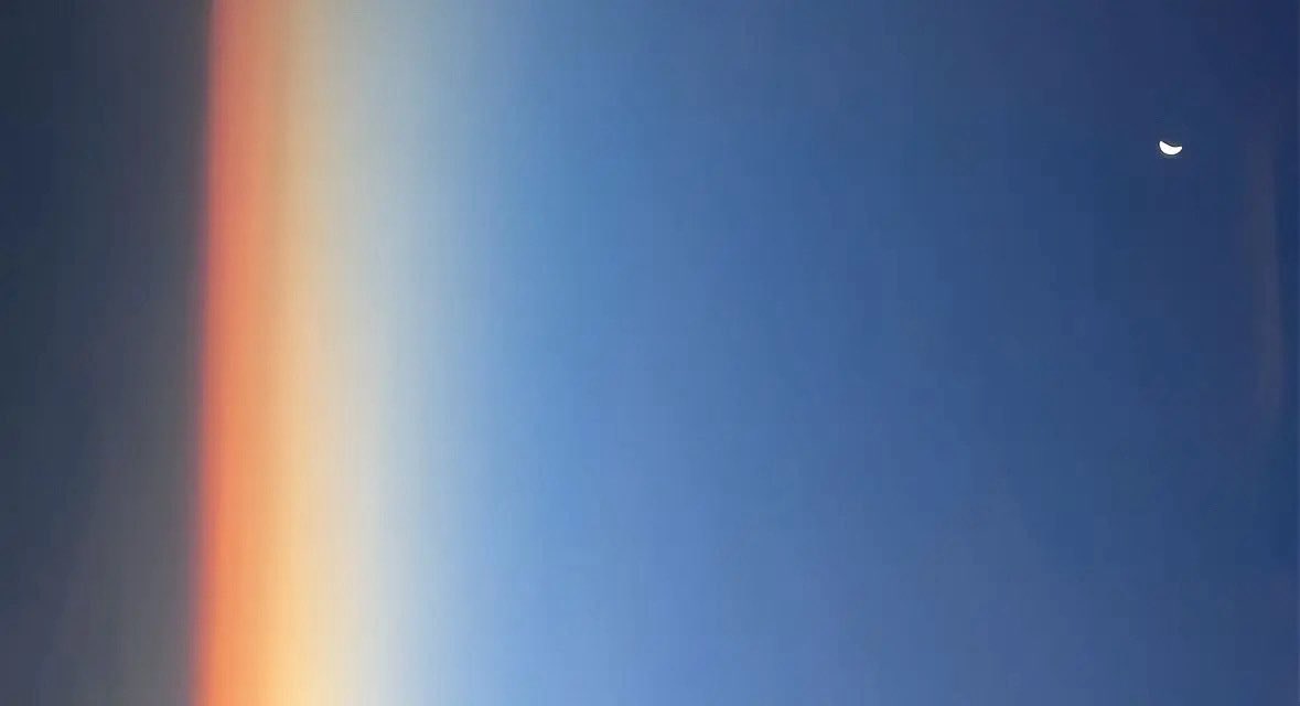 ‎⊹ ۪ ⏦ 🎀 ۪ ⏦ ‎⊹ tweet media