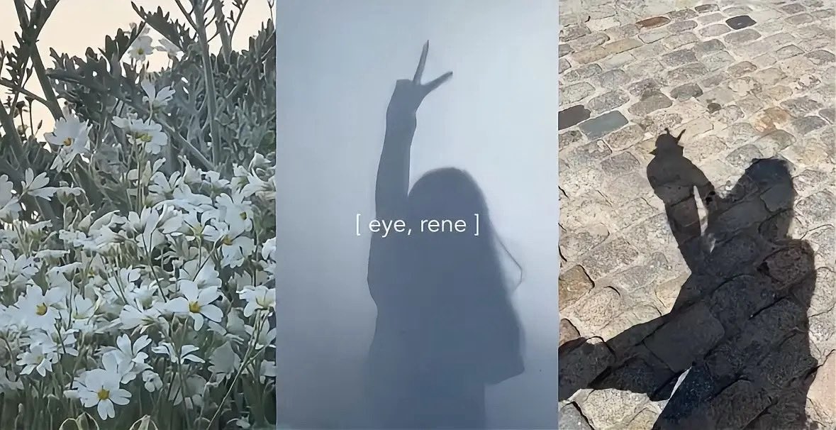 ‎⊹ ۪ ⏦ 🎀 ۪ ⏦ ‎⊹ tweet media