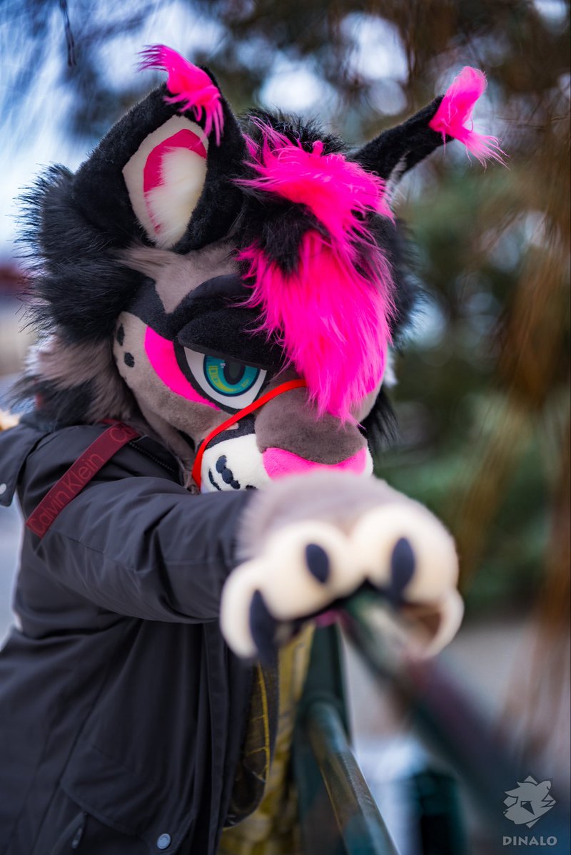 Tetch 🔜 FWA tweet media