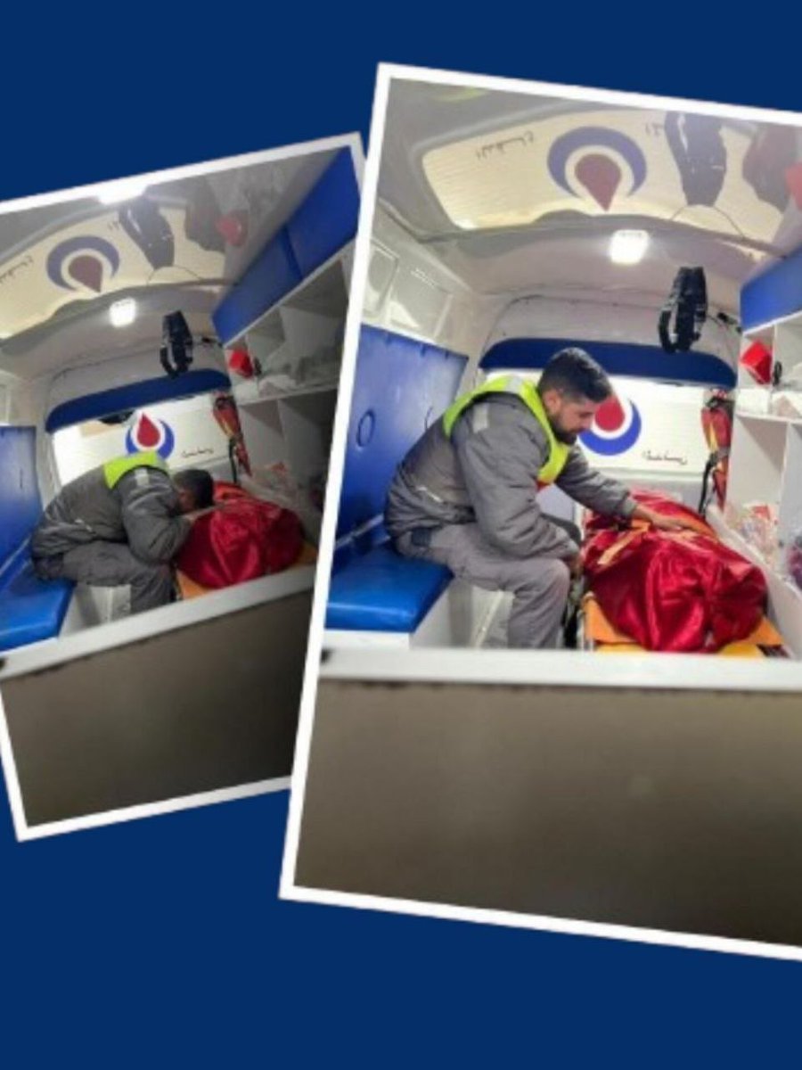 Daniella Modos - Cutter -SEN tweet media