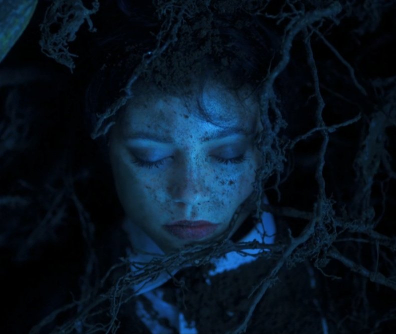 ortegay 🥝🎧 tweet media