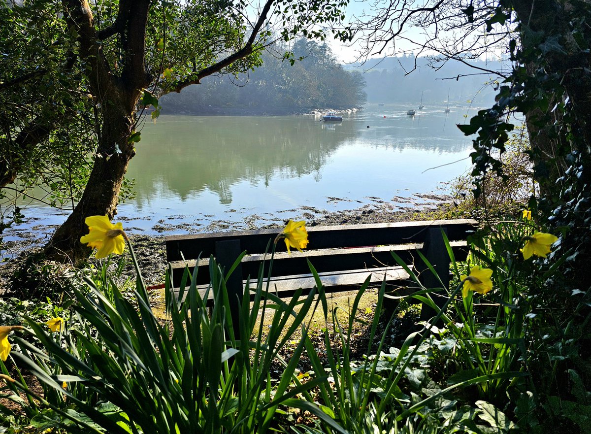 Dave Ahern tweet media