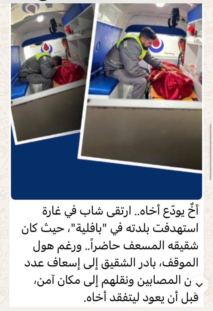 Youssef Haddad tweet media