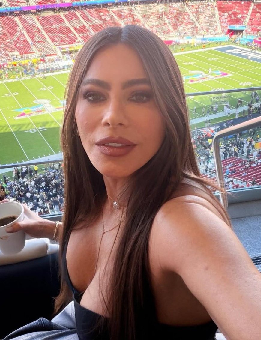 sofia craves tweet media