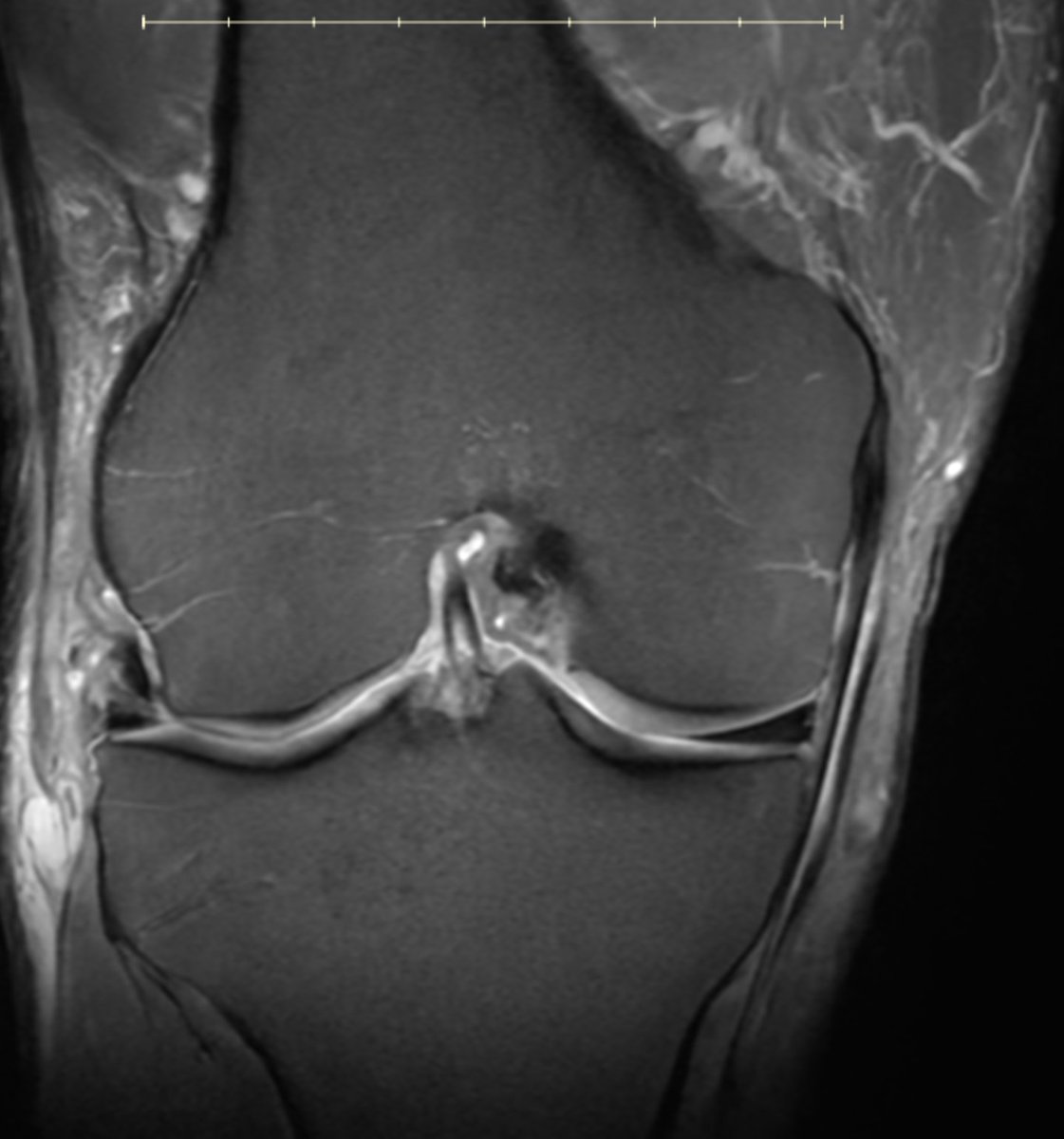 Howard Luks MD tweet media