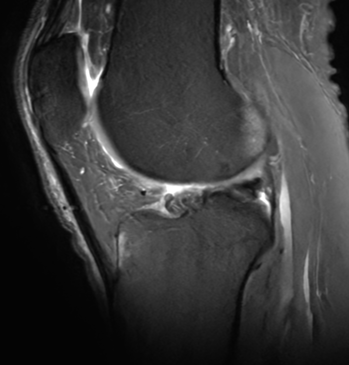 Howard Luks MD tweet media