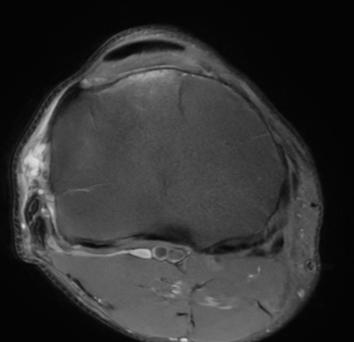 Howard Luks MD tweet media