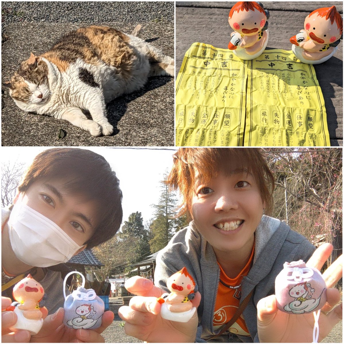 こみとも👩❤️👨🏓😺😺 ※X低浮上中 tweet media