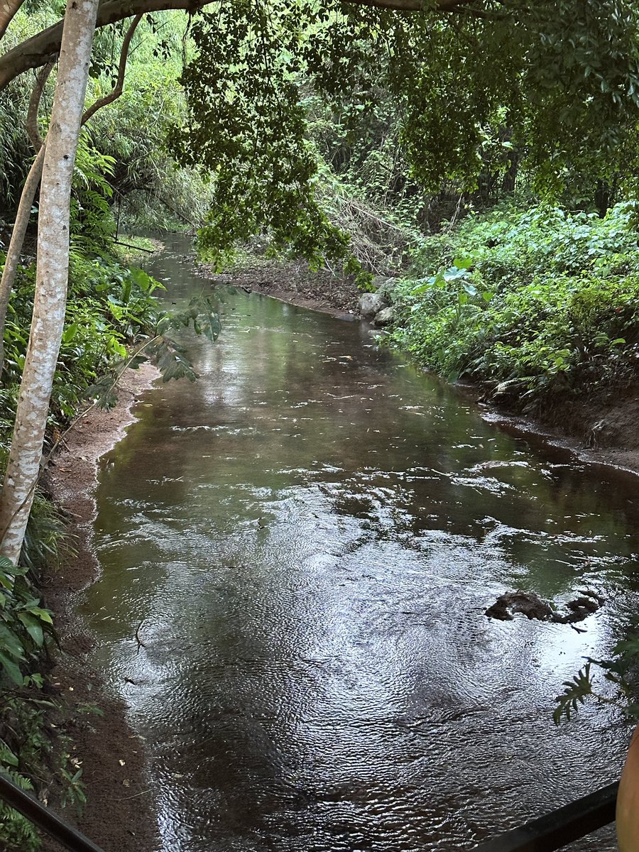 Bom 🏕️ tweet media