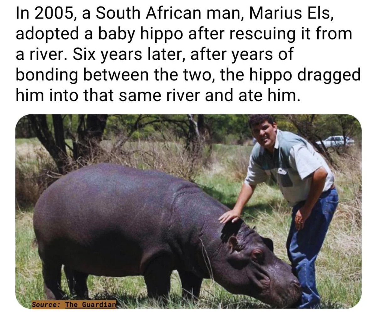 Barry Wall tweet media